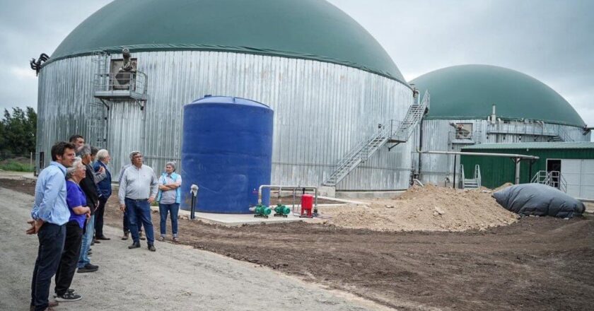 En Brandsen convierten residuos de huevos en energía y fertilizante