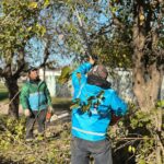 Avanzan los trabajos de mejora en barrios, rutas y espacios públicos de Brandsen