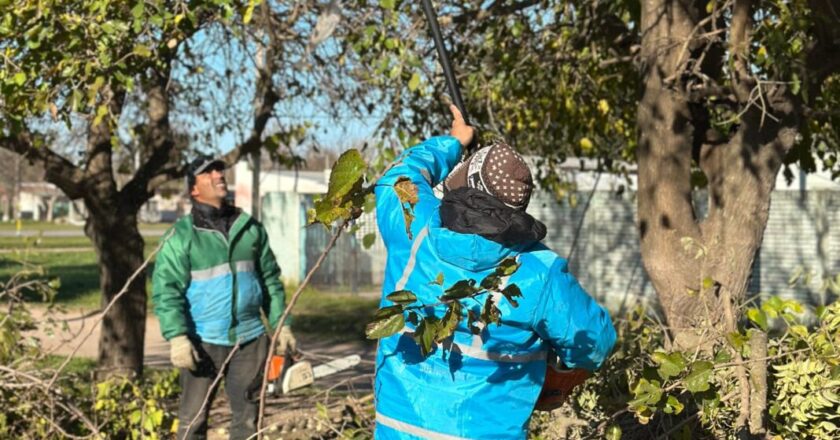 Avanzan los trabajos de mejora en barrios, rutas y espacios públicos de Brandsen