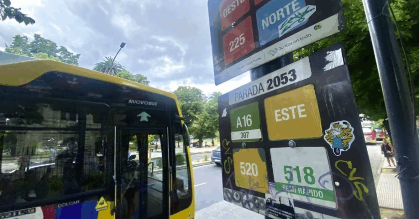 Nuevo aumento del boleto de colectivo en La Plata, Berisso y Ensenada: ¿Cuánto costará viajar desde junio?