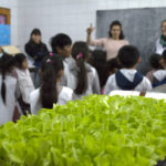 “Talleres de divulgación científica del CONICET La Plata en escuelas primarias de la región durante la edición 2025”