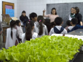 “Talleres de divulgación científica del CONICET La Plata en escuelas primarias de la región durante la edición 2025”
