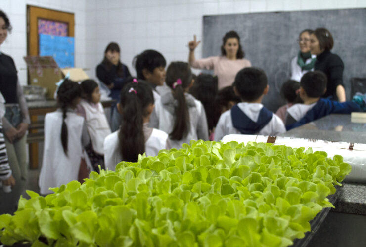 “Talleres de divulgación científica del CONICET La Plata en escuelas primarias de la región durante la edición 2025”