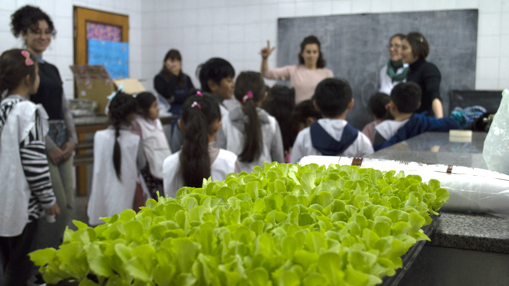 Ciencia en las escuelas: el programa del CONICET La Plata que crece y llega a cada vez más aulas