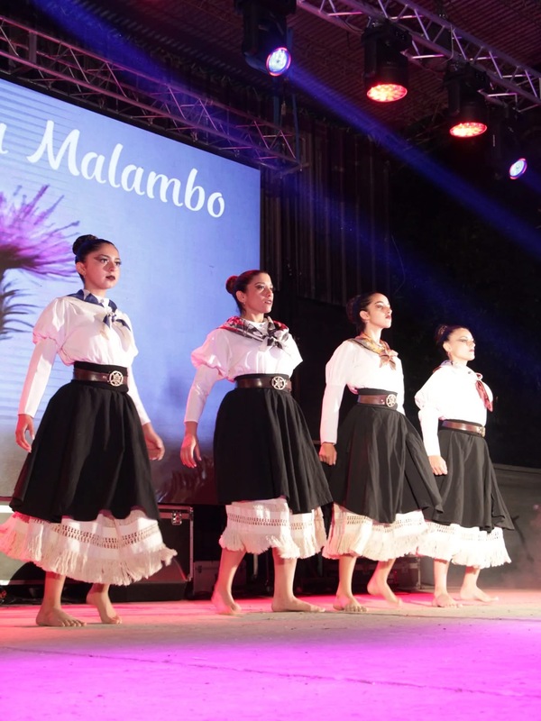 Brandsen dice presente en el Festival Nacional del Folklore