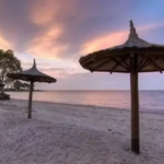 Playa de Punta Indio sobre el Río de la Plata, con arena clara, agua tranquila y entorno natural ideal para una escapada cerca de CABA.