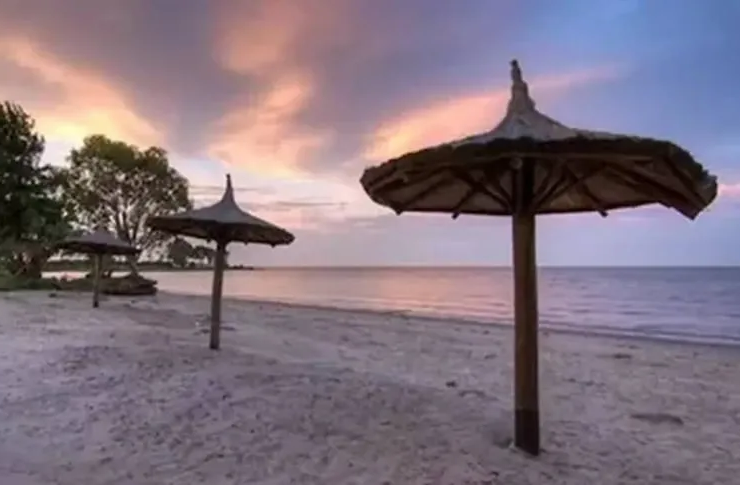 Playa de Punta Indio sobre el Río de la Plata, con arena clara, agua tranquila y entorno natural ideal para una escapada cerca de CABA.