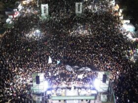 Multitud de personas disfrutando del show en vivo de la banda Tarea Fina en la costa de Punta Lara durante un recital al aire libre.