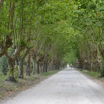 Réplica del cohete Tronador II en Pipinas, localidad de Punta Indio conocida como la “NASA argentina” en la Provincia de Buenos Aires.