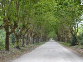 Réplica del cohete Tronador II en Pipinas, localidad de Punta Indio conocida como la “NASA argentina” en la Provincia de Buenos Aires.