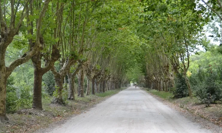 Réplica del cohete Tronador II en Pipinas, localidad de Punta Indio conocida como la “NASA argentina” en la Provincia de Buenos Aires.