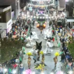 Comparsas desfilando en el Carnaval 2026 de Ensenada sobre la avenida Horacio Cestino ante una multitud.