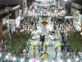 Comparsas desfilando en el Carnaval 2026 de Ensenada sobre la avenida Horacio Cestino ante una multitud.