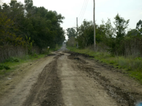 Venta de terrenos en zona protegida del Bañado del Arroyo Maldonado en Berisso sin servicios ni habilitación para construir
