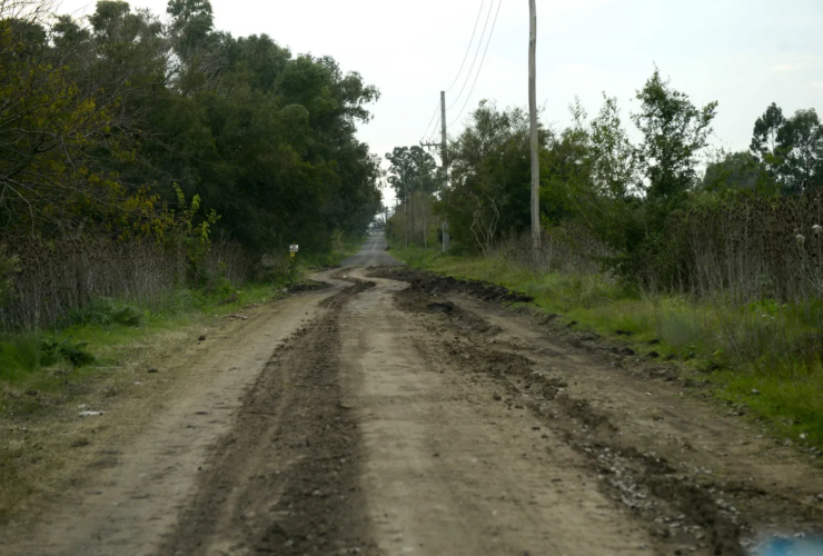 Venta de terrenos en zona protegida del Bañado del Arroyo Maldonado en Berisso sin servicios ni habilitación para construir