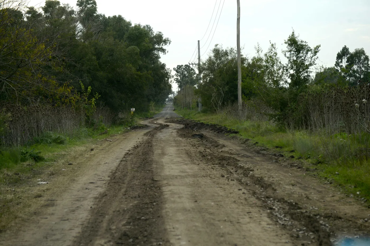 Venta de terrenos en zona protegida del Bañado del Arroyo Maldonado en Berisso sin servicios ni habilitación para construir