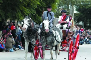 Desfile de carruajes tradicionales en Brandsen con tropillas, jinetes y público celebrando la cultura gauchesca en la Fiesta Provincial del Carruaje