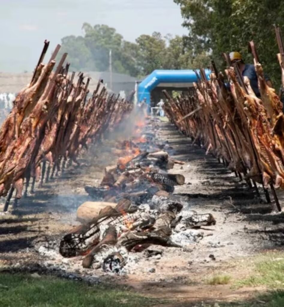 Corderos al asador en la Fiesta del Cordero de Magdalena, tradicional evento rural bonaerense con gastronomía criolla, música folklórica y destrezas gauchas en Buenos Aires Argentina
