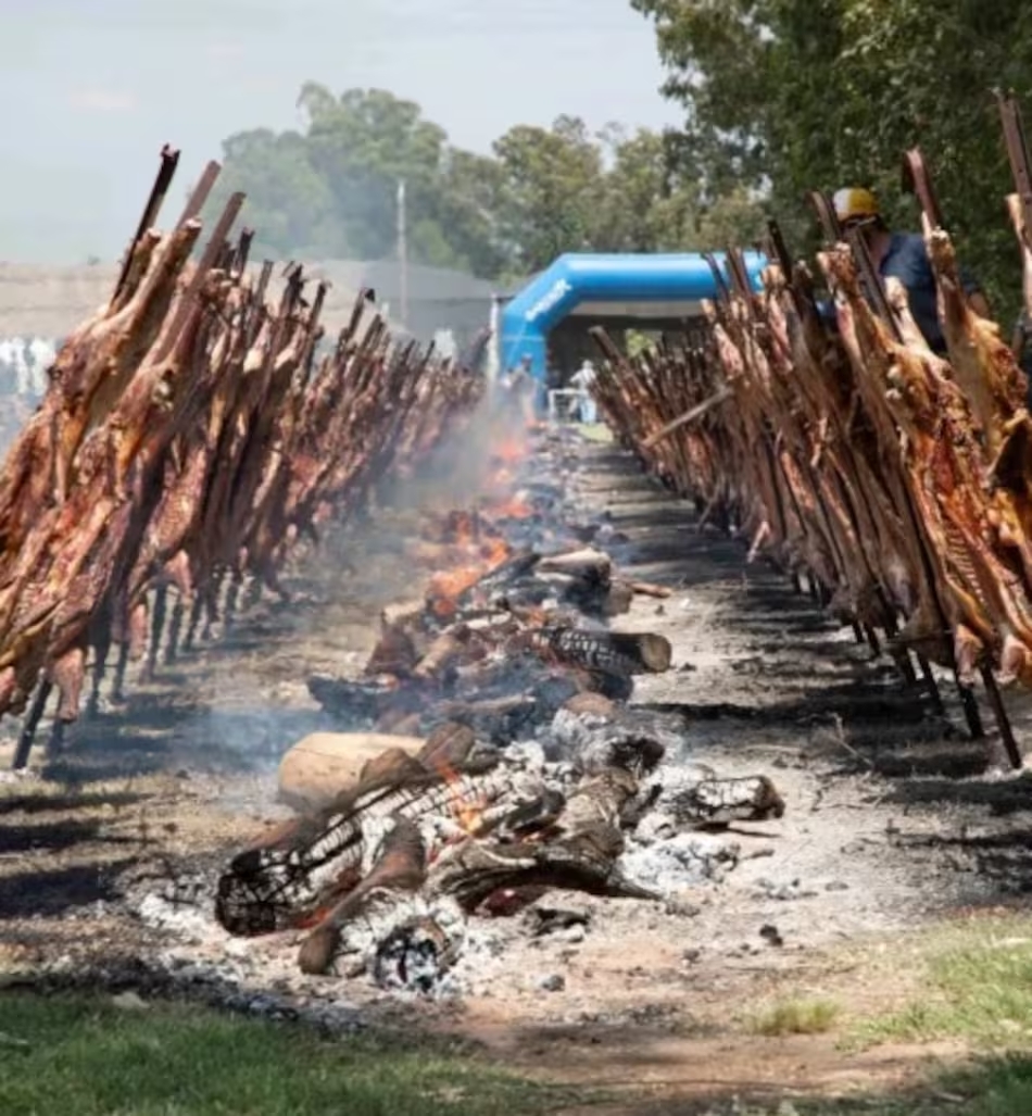 Corderos al asador en la Fiesta del Cordero de Magdalena, tradicional evento rural bonaerense con gastronomía criolla, música folklórica y destrezas gauchas en Buenos Aires Argentina