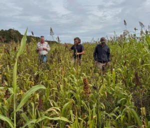 Punta Indio se suma a la red agroecológica y avanza hacia un modelo productivo sustentable en la provincia de Buenos Aires