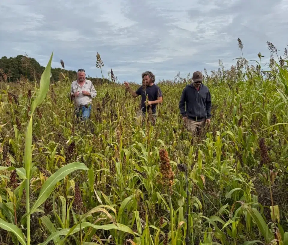 Punta Indio se suma a la red agroecológica y avanza hacia un modelo productivo sustentable en la provincia de Buenos Aires