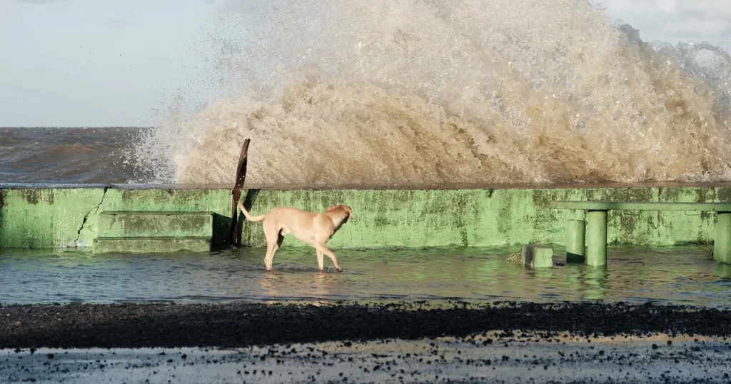 Alertan por una crecida del Río de la Plata cercana a los tres metros
