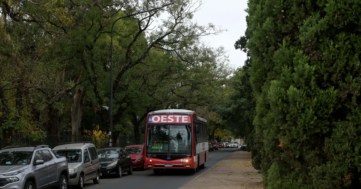 Una de las principales empresas de micros de La Plata busca choferes