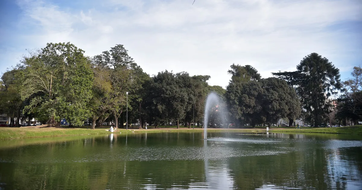 ¿Cuáles son las zonas inundables del Parque Saavedra y por qué reclaman que su ampliación pase por el COUT?