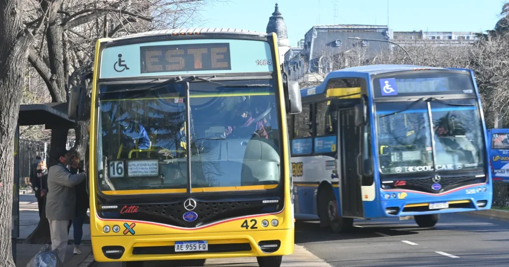 Los motivos que mantienen frenada la licitación de los micros de La Plata y los cambios que evalúa Julio Alak