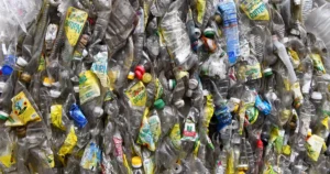 La Plata recupera solo el 4% de sus residuos y científicos proponen un plan para mejorar el reciclado