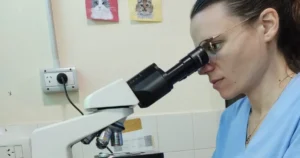 La historia de Camila Lapuente, la investigadora de la UNLP que llegó a Harvard gracias a un innovador estudio