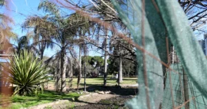 Las obras de ensanche del Parque Saavedra arrancan este lunes y traerán cambios en el tránsito
