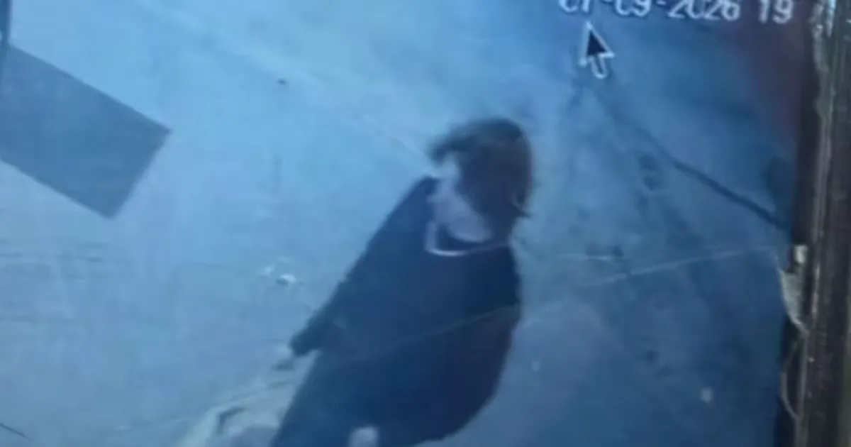 La foto del estudiante de la UNLP desaparecido que lleva la investigación a Córdoba para hallarlo
