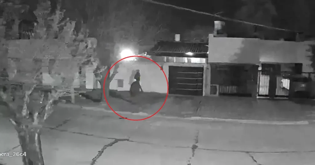 “No tenemos paz”: vecinos de Tolosa muestran videos sobre cómo se vive por la inseguridad