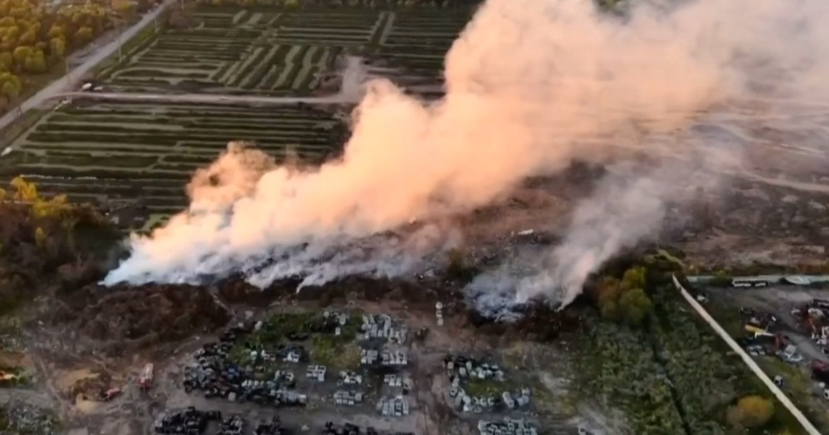 Un impactante incendio junto a la Autopista La Plata-Buenos Aires complica la visibilidad