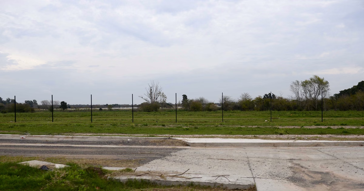 Loteos ilegales en La Plata: se entregaron el dueño de Grupo del Sud y otra de las imputadas