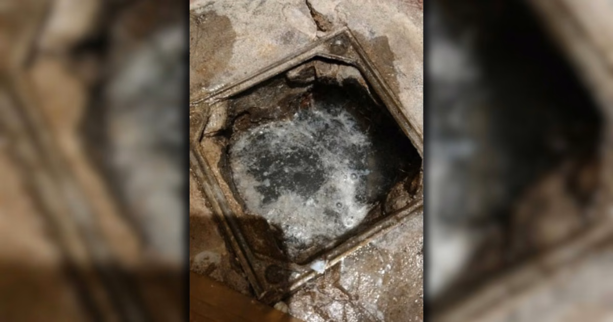 Vecinos de Ringuelet denuncian desbordes cloacales desde hace más de un mes