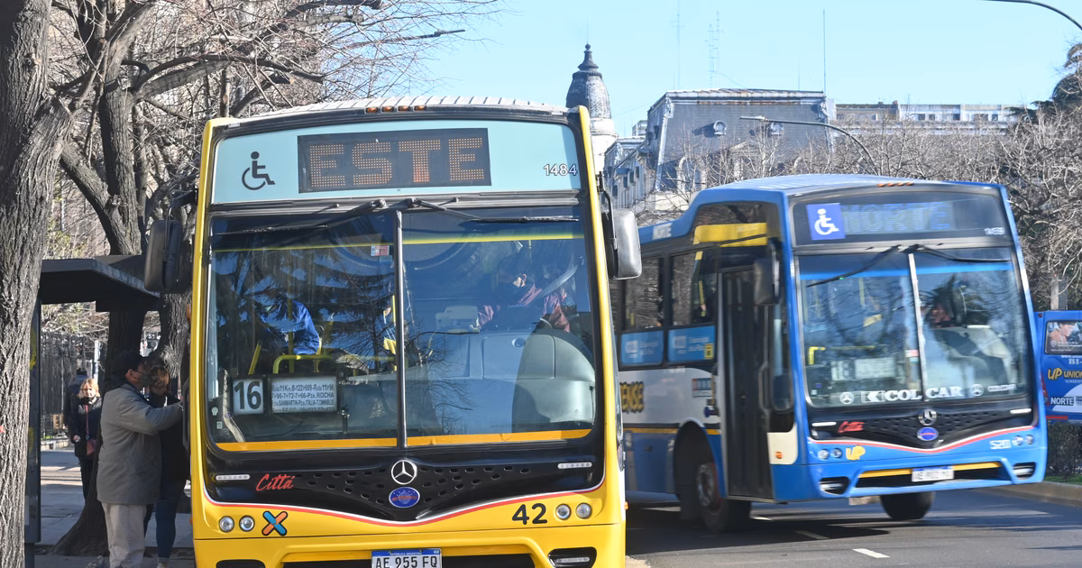 Un concejal libertario pide subsidiar los micros para que los trabajadores municipales gasten menos