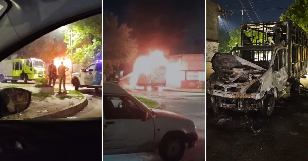 Videos: se incendió en Tolosa un camión de transporte de caballos e investigan si fue intencional