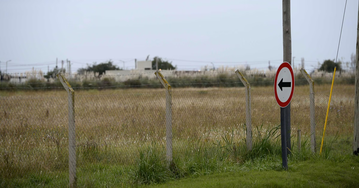 Alertan sobre la venta irregular de terrenos en Berisso, en una zona de protección ambiental